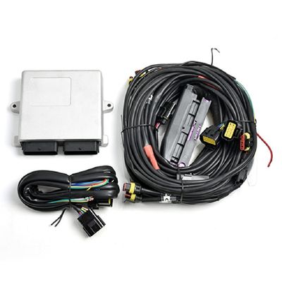 購入 6/8本のシリンダー エンジンのための銀製LN2568 オートガス車CNG LPG ECU online manufacture