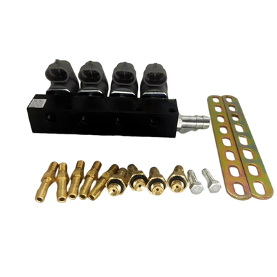 2オーム3オームの抵抗Autogasのための黒いLN-LIG1S LPG CNGの注入器の柵