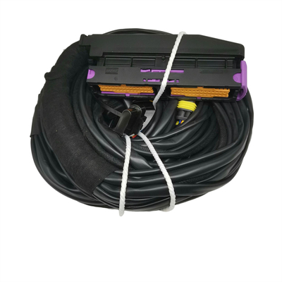 OEM 承認 ISO9001 防水自動車ケーブルハーネス 56ピン ECU