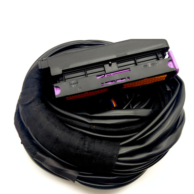 OEM 承認 ISO9001 防水自動車ケーブルハーネス 56ピン ECU