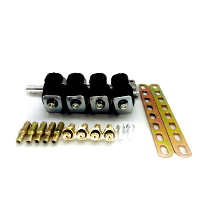 4シリンダーのためのLN-LIG1 LPG CNGの注入器の柵2オームまたは3オームの黒GPL GNVの柵の注入器