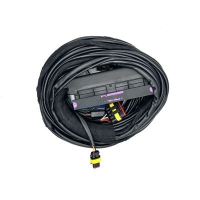 4シリンダーECUの分岐燃料噴射装置の馬具56 Pin CNG LPGの自動配線用ハーネス