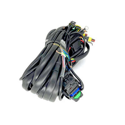 オートガスの順次注入システムのための32のPin 4シリンダーECU車の配線用ハーネス