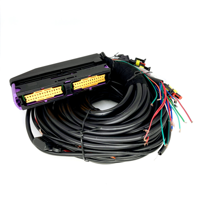 6シリンダーのための分岐CNG LPGの自動車配線用ハーネス56 Pin ECU