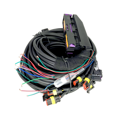 6シリンダーのための分岐CNG LPGの自動車配線用ハーネス56 Pin ECU